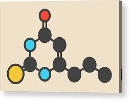 Image result for Propylthiouracil