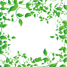 Download 5,900+ free leaf border vector images. Transparent Green Leaves Border Design Novocom Top