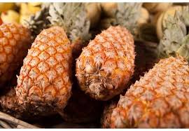 Ananas Pain De Sucre