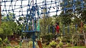 Harga tiket masuk (htm), informasi diskon tiket masuk, lokasi gembira loka zoo, jam buka, serta jadwal pertunjukan satwa. Flying Fox Jadi Wahana Favorit Pengunjung Medan Zoo Tribun Medan