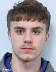 Springfield gun arrests