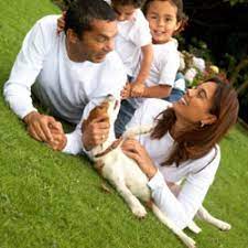 Vous accueillez le chiot futur chien guide dès l'âge de 2 mois jusqu'à ses 12 mois environ. Famille D Accueil Faire Garder Son Animal Chien Et Chat