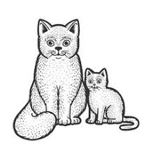 Download in under 30 seconds. Cat Clipart Black And White Vector Images Over 820