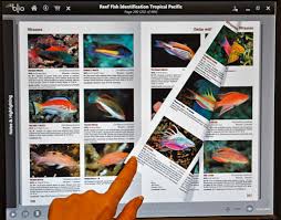 Marine Life Identification Blio Ebooks