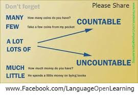 Much Many A Little A Few A Lot Of Describing Quantity For Countable And Uncountable Nouns La Mansion Del Ingles Libros Para Aprender Ingles Conectores En Ingles