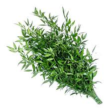 We did not find results for: What Is The Difference Between Italian Ruscus And Israeli Ruscus Fillers Eagle Link Flowers
