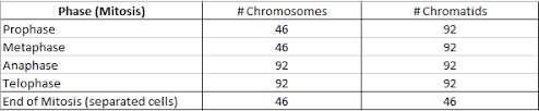 Mitosis is a core process that replicates all of its content, including duplication of its chromosomes. Chromosome And Chromatid Numbers During Mitosis And Meiosis Dat Bootcamp