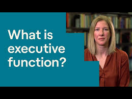 Executive Function In Children