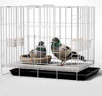 Amazon.com: Jaula para pájaros, jaula plegable para palomas ...