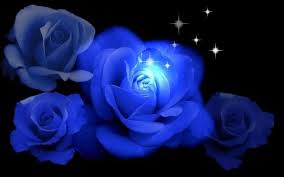 Photo By Gregvantilburg Blue Flower Wallpaper Blue Roses Blue Roses Wallpaper