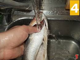 Identifica un essere, un oggetto o un concetto che assume genere maschile. Cefalo Al Cartoccio Pesci Di Mare Cefalo Al Cartoccio Ricetta