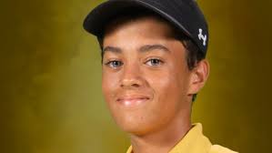 The Southwest Florida Sports Awards 2020 Golf Team