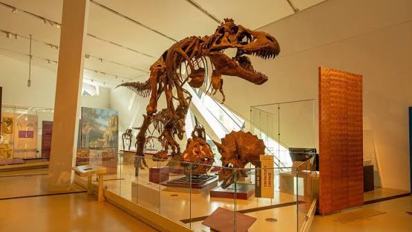 Museo Real de Ontario, Toronto, Ontario, Canadá en Centro de Toronto |  Expedia