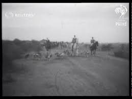 Kolkata Fox Hunt ...