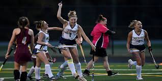 Image result for Emilia hockii