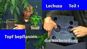 Selbstbewasserung Lechuza Topf Fur Draussen Und Drinnen Nutzen Wir Fur Eine Exotische Pflanzen Der Au Youtube Lechuza töpfe gibt es in unzähligen verschiedenen formen, farben und größen, sodass ich auch erst einmal ein wenig durch das sortiment stöbern musste, um. selbstbewasserung lechuza topf fur draussen und drinnen nutzen wir fur eine exotische pflanzen der au