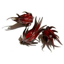 Find images of hibiscus flower. Roselle Seeds Edible And Tasty Hibiscus Sabdariffa Price 1 75