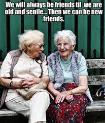 Cute Old Lady Cartoon Bing Images Old Lady Humor Friendship Humor Old Women