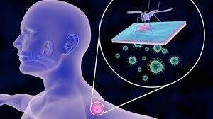 Virusul West Nile Cauze Simptome Tratament Sanoteca