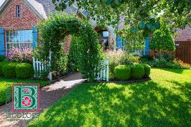 Decorate your garden with creative and charming nursery home garden at alibaba.com at competitive prices. Grapevine Nurseries