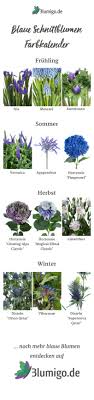 Blaue Blumen Welche Schnittblumen Bluhen Blau Blaue Blumen Schnittblumen Und Blumen Fur Hochzeit