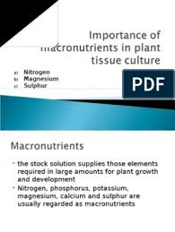 Macronutrients in plants are nutrients that provide energy to the plants and are required in larger amounts to maintain their development and growth. Macronutrients In Plant Tissue Culture N Mg S Sulfur Nutrients