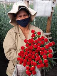 15, instacart and whole foods are teaming up for valentine's day to deliver flowers to your door in less than an hour, with prices starting at about $25. There S A Good Chance Your Valentine S Flowers Come From Colombia Npr