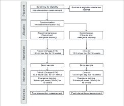 Flow Chart Of Study Procedure Fa Fatty Acid Download