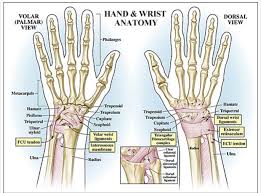 Perform wrist exercises after the initial pain has subsided. Wrist Pain In Crossfit Arrow Physical Therapy Seattle