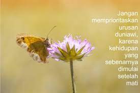 Kata Kata Bijak Islami Tentang Kehidupan Juproni Quotes