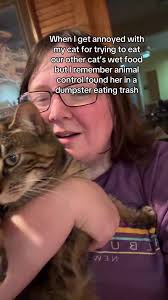 Cat Choose to Eat in Fear