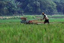 Marilah kita beli segelas susu! penguasaan sains dan teknologi 9. Sentrafarm Jadi Solusi Teknologi Pertanian Masa Depan