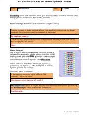 Check spelling or type a new query. Gizmos Lab Rna And Protein Synthesis 2 Pdf Name Jana Truong Date 11 19 20 Student Exploration Rna And Protein Synthesis Directions Follow The Course Hero
