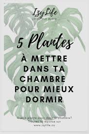Dormir Avec Une Plante Dans La Chambre Est Ce Vraiment Dangereux Plante Chambre Plante Chambre Parentale Cocon