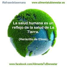 Resultado de imagen para MEDIO AMBIENTE Y REFLEJO DEL HOMBRE DENTRO DE EL