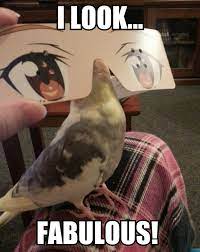 Pin On Stuff That Made My Day
