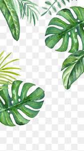 leaves png images vetores e arquivos psd download gratis em pngtree watercolor leaves leaf clipart leaf background