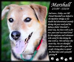 Peggy Adams Animal Rescue League