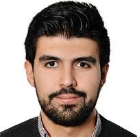 60+ "Mahmoud Ali" profiles