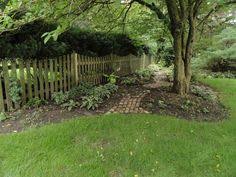 If it did well, i would do the same with the rest of the lawn the following year. 24 Irish Moss Ideas Irish Moss Ground Cover Plants Ground Cover