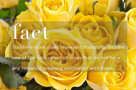 Yellow flowers are loaded with positive symbolism, but this color should not be given to a couple, as it means that their love it is not as strong and that the feeling is more like a friendship. Know Your Rose Meanings Give The Right Rose Fresh By Ftd Rose Meaning Yellow Rose Meaning Flower Meanings