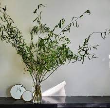 Curiosities Curly Willow Room Service