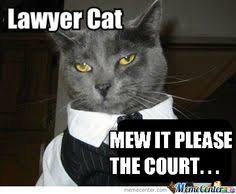 Roaring kitty, aka keith gill, is known on reddit as one of the. 8 Lawyer Cat Ideas Crazy Cats Legal Humor Cats