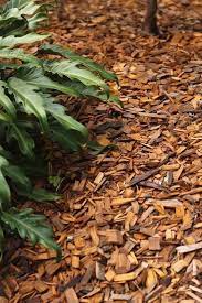 Maybe you would like to learn more about one of these? Free Mulch Melbourne Home Facebook