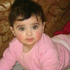 Stream احمد شيبه