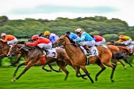 Thu, 17 june 2021 3:22pm. Fotografie Bilder Und Fotografen Pferderennen Pferd Fotografie Bilder