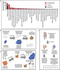 It can grow into the deeper muscle layers of the bladder and eventually spread to nearby lymph nodes, surrounding tissues, or. Frontiers Fgfr3 Alterations In The Era Of Immunotherapy For Urothelial Bladder Cancer Immunology