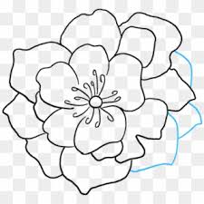 Simple vignettes, dividers, made in vector. Drawing Cartoon Flowers Picture Easy Ways To Draw A Flowers Cartoon Images Png Transparent Png 1368x855 2825891 Pngfind