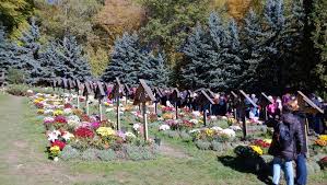 Va ofer cateva fotografii pentru a va tuturor celor care doresc cazare la manastirea prislop, vila silva situata la doar 3 km de manastire la intrarea in satul silvasul de sus, va pune la. 28 Noiembrie 2021 DuminicÄƒ Pelerinaj La MÄƒnÄƒstirea Prislop Cu Ocazia Parastasului Pentru PÄƒrintele Arsenie Boca Renasterea