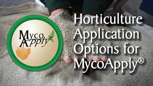 The soil that you make will be rich in beneficial fungi. Application Options For Mycoapply Mycorrhizae In Greenhouse And Nursery Production Mycorrhizal Applications Leaders In The Production Of Mycorrhizal Fungi